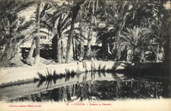 CPA Figuig Bassin a Zenaga 