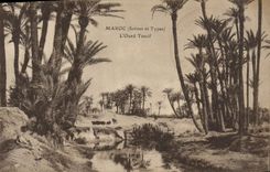VINTAGE POSTCARD Morocco the Tensive Wadi