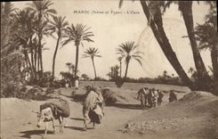 VINTAGE POSTCARD Morocco the Oasis