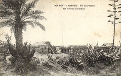 CPA Maroc Casablanca vue Du Palmier Sur La Route D'Aviation