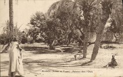 CPA Maroc Palmiers Dans l'Oasis