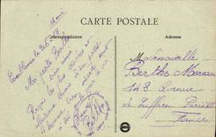 VINTAGE POSTCARD Morocco Palm trees In the Oasis