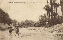 VINTAGE POSTCARD Morocco Seen Of the Palm trees In the Oasis