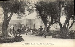 VINTAGE POSTCARD Oudjda Carries Sidi Aissa And the Olive-trees