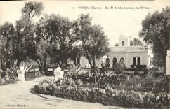 CPA Oudjda Dar El Baraka A Travers Les Oliviers