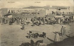 Mercado de Mateur de la POSTAL de la VENDIMIA