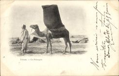 POSTAL Túnez de la VENDIMIA un camello de los trastos del filón
