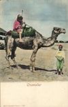Camello del conductor del camello de la POSTAL de la VENDIMIA