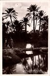 CPA Scenes Et Types Allee de Palmiers dans l'oasis