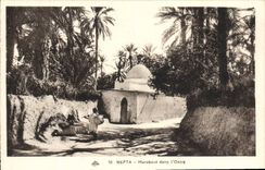 CPA Nefta Marabout dans I'Oasis