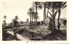 EL Close-cropped Oued de Gabes de la POSTAL de la VENDIMIA