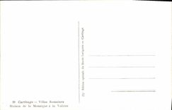 Casa romana de los chalets de Carthage de la POSTAL de la VENDIMIA del mosaico al Birdcage