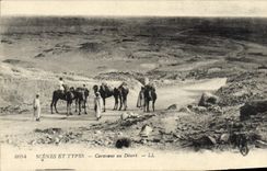 Escenas de la POSTAL de la VENDIMIA y caravana estándar con servicios