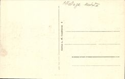 POSTAL de la VENDIMIA el camello de la mula del asno de Túnez del Plowman