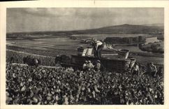 VINTAGE POSTCARD Scene of Vintage has Hautvillers Moet and Chandon