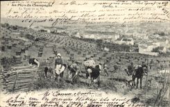 VINTAGE POSTCARD With the Country Of Champagne the work of vine TOP
