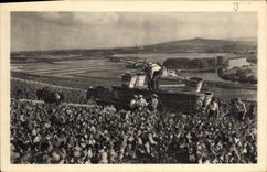 VINTAGE POSTCARD Scene Of Vintage has Hautvillers Moet and Chandon Champagne