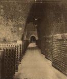 Fila de Champán Pommery Greno Reims de la POSTAL de la VENDIMIA de los hoyos de tiza del origen Gallo romanos