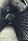 POSTAL Champán Pommery Greno Reims de la VENDIMIA una galería del vino en los listones