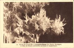 CPA Grotte Du Grand Roc A Laugerie Basse Le Banc De Corail Formations Curieuses Et Enignatiques