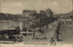 VINTAGE POSTCARD Nantes the Loire with the Fish shop Lavender field