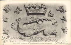 CPA Chateau De Blois La Salamandre Embleme de Francois 1er