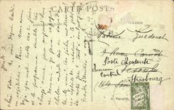 CPA Paris Le Jardin des Tuileries et le Pavillon de Rohan 