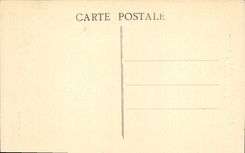 CPA Pont de Beauvoision Le Pont Francois 1er