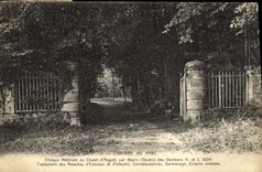 CPA L'Entree Du Parc Clinique Medicale du Chalet d'Arguel par Beure