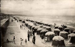 CPM Deauville La Plage Fleurie Les Parasols