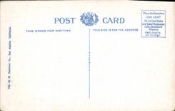 CPA Pepper Trees In California