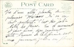 CPA Palm Walk California