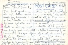 CPA View Of Palm Canyon California