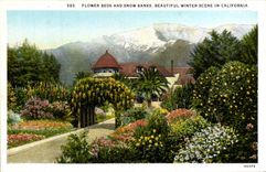 CPA Flower Beds And Show Banks Beautiful Winter Scene In California