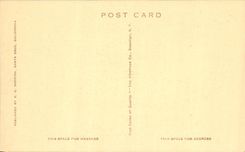 CPA Santa Cruz California Cathedral Group 110 Feet High Feet In Circuference