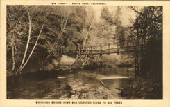 CPA Santa Cruz California Swinging Bridge Over San Lorenzo river To Big Trees
