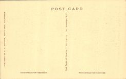 Puente de balanceo de Santa Cruz California de la POSTAL de la VENDIMIA sobre San Lorenzo a clavar a los árboles grandes