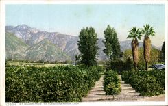 CPA Mt Wilson From The Old Shorb Ranch Calif