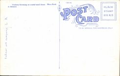 CPA Verbena Blooming On Coastal Sand Dunes California