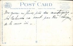 CPA California Yucca n Bloom