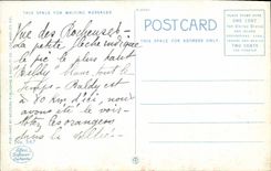 Pleno invierno de la POSTAL de la VENDIMIA en California Baldy viejo de las arboledas anaranjadas