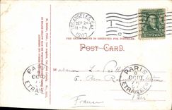 CPA A Lily Field In winter In California