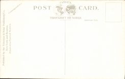 VINTAGE POSTCARD Fountain Frog Lays The Common Boston Mass