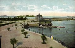 VINTAGE POSTCARD Boston City Farmhouse Not