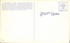 El cocodrilo hambriento de la POSTAL de la VENDIMIA en el cocodrilo de la Florida tiene