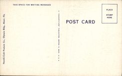 VINTAGE POSTCARD Rare Macaws Bird Miami Florida Parrots Birds