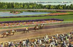 CPA Mid Season At Hialeah Race Course Hialeah Fla Chevaux Hippisme