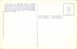 CPA Mid Season At Hialeah Race Course Hialeah Fla Chevaux Hippisme