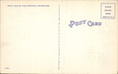 CPA Beautiful Azalea garden and palms in Florida