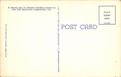VINTAGE POSTCARD Eastern The Gardens Jacksonville Fla